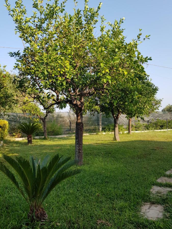 Apartamento Casa Vacanza Le Tre Palme Floridia Exterior foto